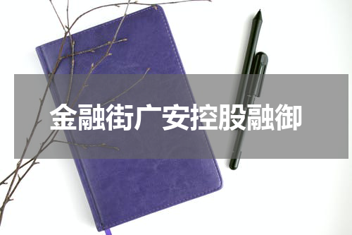 金融街广安控股融御