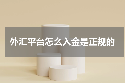 外汇平台怎么入金是正规的