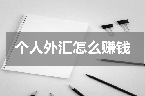 个人外汇怎么赚钱