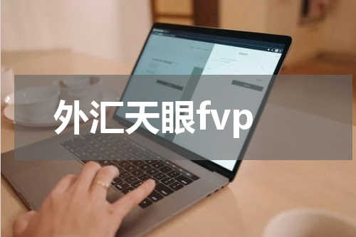 外汇天眼fvp