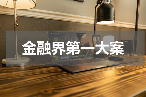 金融界第一大案