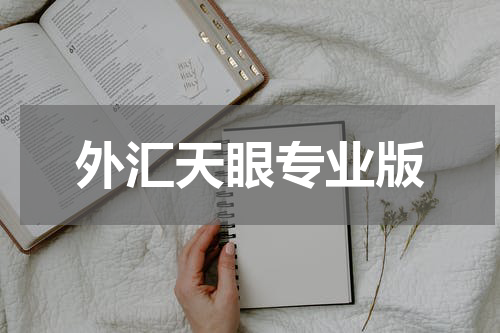 外汇天眼专业版