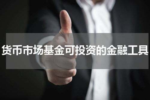 货币市场基金可投资的金融工具