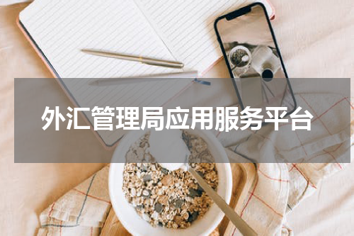 外汇管理局应用服务平台