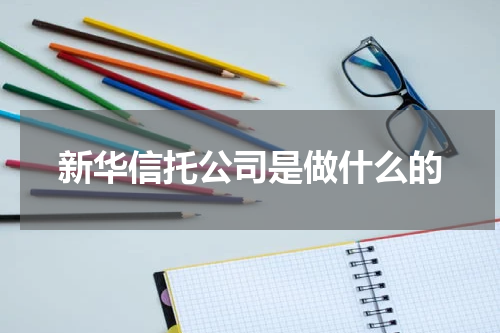 新华信托公司是做什么的