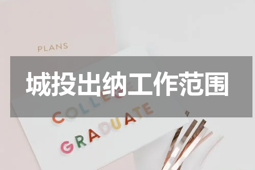 城投出纳工作范围