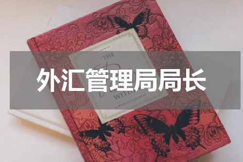 外汇管理局局长
