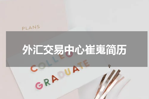 外汇交易中心崔嵬简历