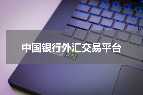 中国银行外汇交易平台