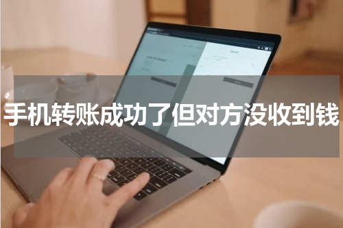 手机转账成功了但对方没收到钱