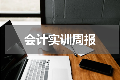 会计实训周报