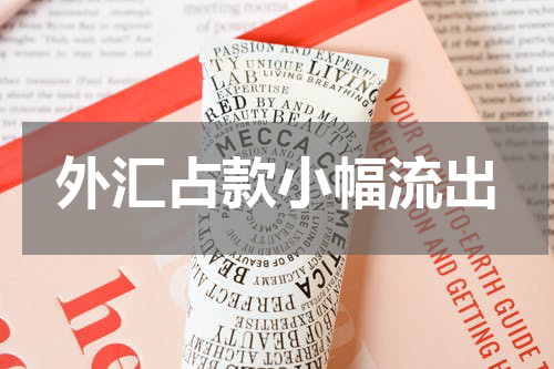 外汇占款小幅流出