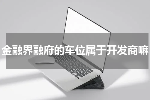 金融界融府的车位属于开发商嘛