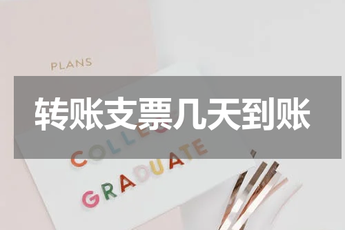 转账支票几天到账