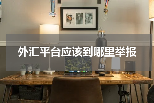 外汇平台应该到哪里举报