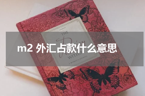 m2 外汇占款什么意思