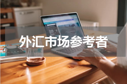 外汇市场参考者