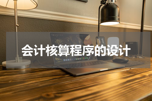 会计核算程序的设计