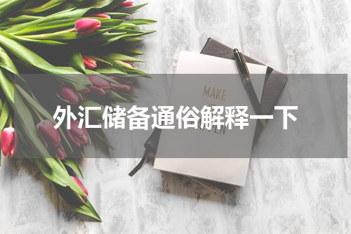 外汇储备通俗解释一下