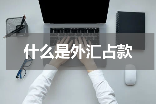 什么是外汇占款
