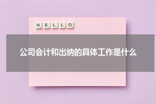公司会计和出纳的具体工作是什么