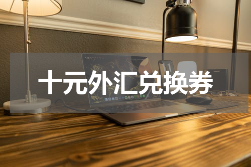 十元外汇兑换券