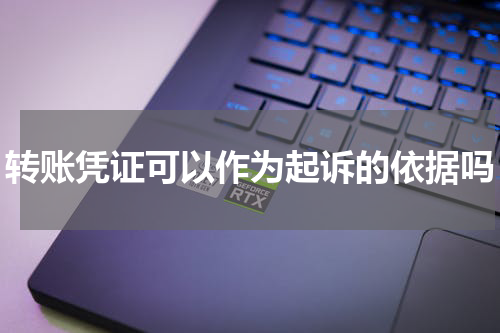 转账凭证可以作为起诉的依据吗