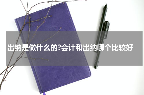 出纳是做什么的?会计和出纳哪个比较好