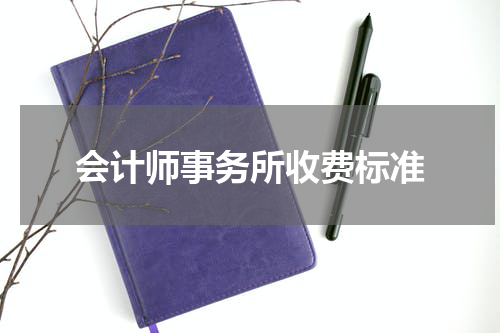 会计师事务所收费标准
