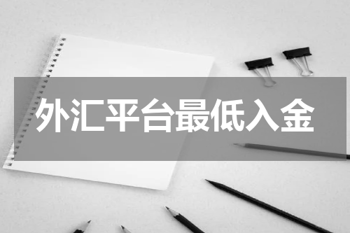 外汇平台最低入金