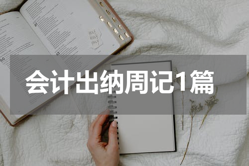 会计出纳周记1篇
