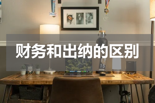 财务和出纳的区别