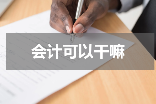 会计可以干嘛