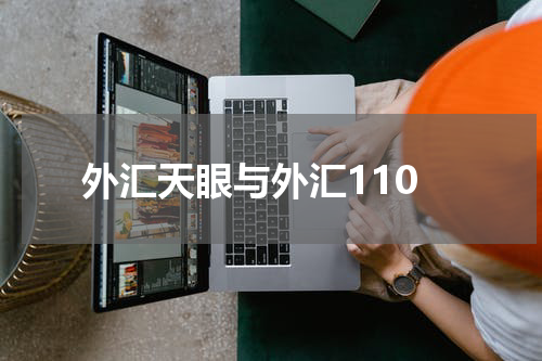 外汇天眼与外汇110