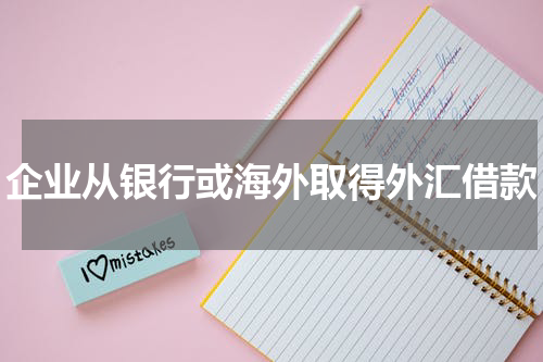 企业从银行或海外取得外汇借款