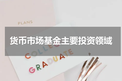 货币市场基金主要投资领域