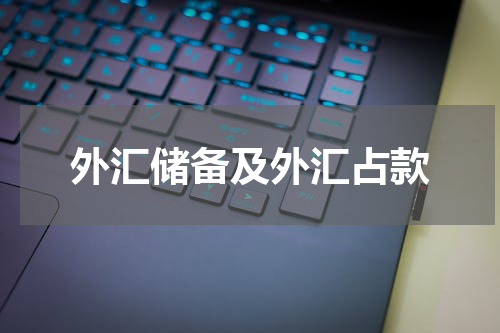 外汇储备及外汇占款