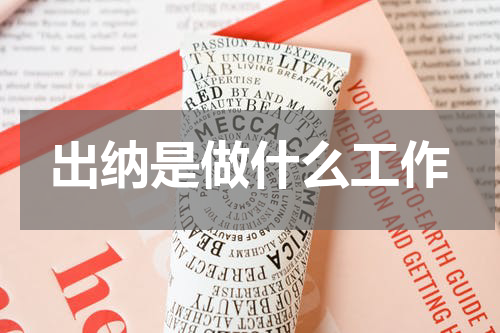 出纳是做什么工作