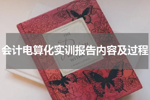 会计电算化实训报告内容及过程