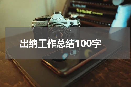 出纳工作总结100字
