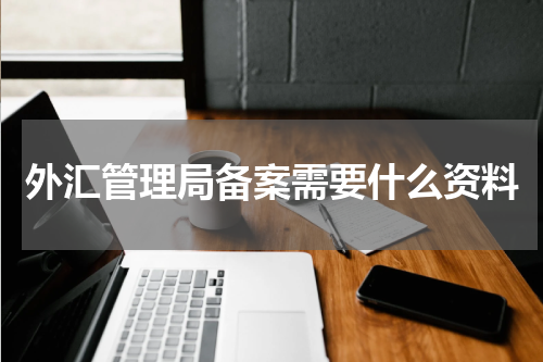 外汇管理局备案需要什么资料
