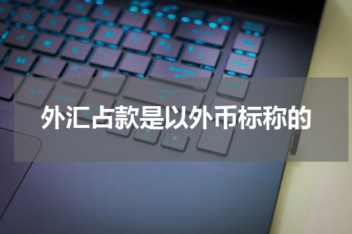 外汇占款是以外币标称的