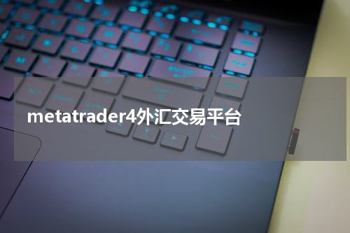 metatrader4外汇交易平台