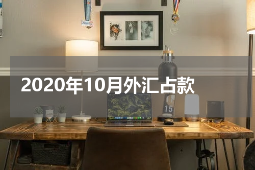 2020年10月外汇占款
