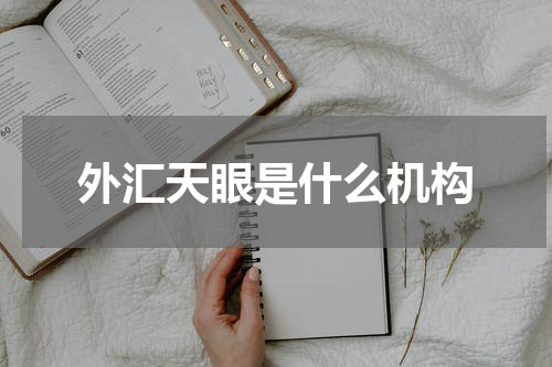 外汇天眼是什么机构