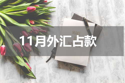 11月外汇占款