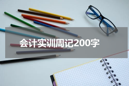 会计实训周记200字