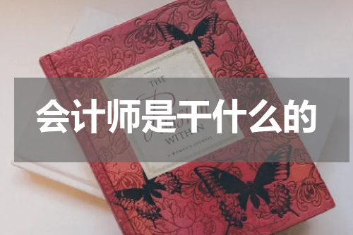 会计师是干什么的