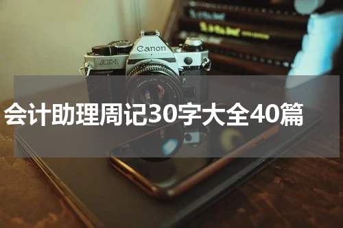 会计助理周记30字大全40篇