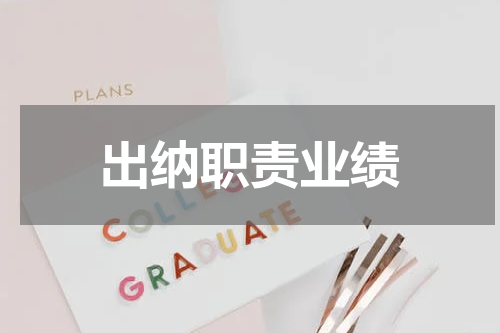出纳职责业绩